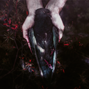 thetimelesstimelord avatar