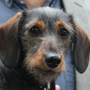 thetimelinesofslang avatar