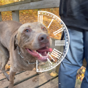 thetimeofsome avatar