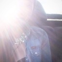 thetrainofthoughts avatar