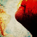 thetravelbeard avatar