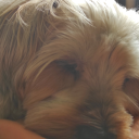 thetruelurkerman avatar