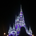 thetrulyheart avatar