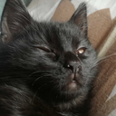 theuncooldisorder avatar