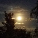 thevikingwife avatar