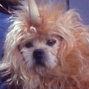 thevoiceoflove1993 avatar