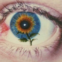 thewanderingeye avatar