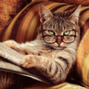 thewayofthefox avatar