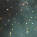 thewayto-wonderland avatar