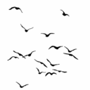 theweirdartkid26 avatar