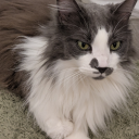 thewitchingcorner avatar