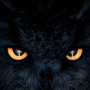 thewitchofthemidnightowl avatar