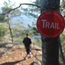 thewolvesandtheravens avatar