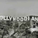 thewombonvine-blog avatar