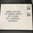 thewonderzebra avatar