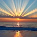 thewoodisgood1 avatar