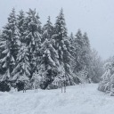 theworldislowkeycool avatar