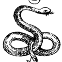 theworshipofsnakes avatar