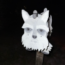 they-them-cryptid avatar