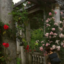 theycallmecee avatar