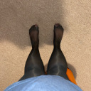 thickebonyshemaleinpantyhose avatar