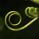 things-my-mother-taught-me avatar