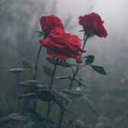 think15sblog-blog avatar