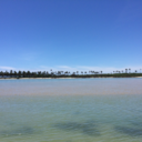 thinking-oout-loud avatar