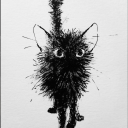 thirteenandahalfcrows avatar