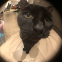 this-barbie-is-the-problem avatar