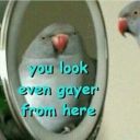 this-girl-kills avatar