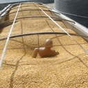 this-hell-site avatar