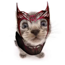 this-is-chaos-magick avatar