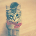 this-ismy-paradisee avatar