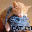 thiscatlyfe-blog avatar