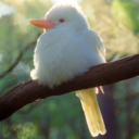 thishospitalbed-blog avatar