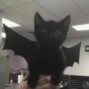 thisisbeatriz avatar