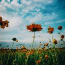 thisislifejeng avatar