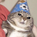 thisiswhereishitpostalot avatar