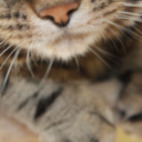 thislossofsleep-moving-blog avatar