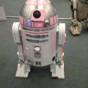 thistle-the-bookworm avatar