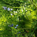 thomas-brayden avatar