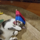 thomaslightwoodenthusiast avatar