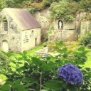 thomaswheatley avatar