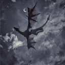 thornandpetals avatar