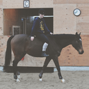 thoroughbred-heart-blog avatar