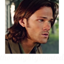 thoroughlytainted avatar