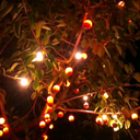 thoughts-aligned avatar