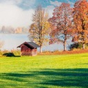 thoughts-for-no-one avatar