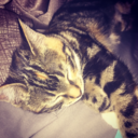 thoughts-into-constellations avatar